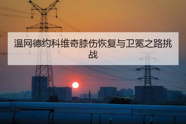 温网德约科维奇膝伤恢复与卫冕之路挑战