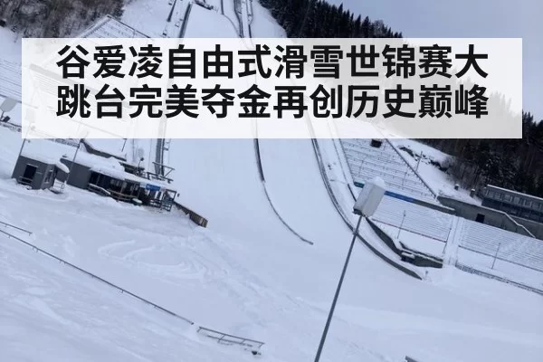 谷爱凌自由式滑雪世锦赛大跳台完美夺金再创历史巅峰
